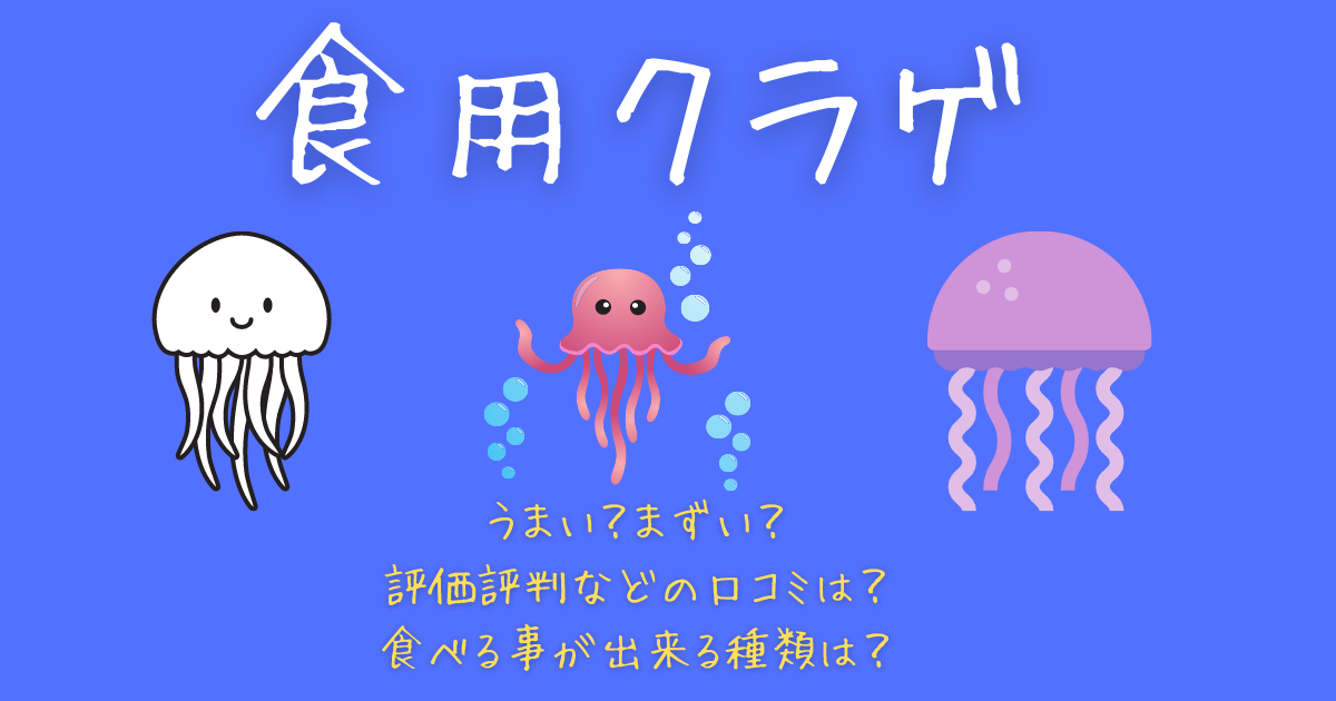 食用クラゲはうまい まずい 評価評判などの口コミは 食べる事が出来る種類は まめらぼ